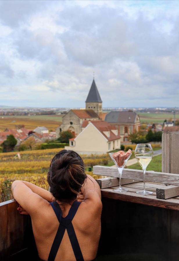 Chateau De Sacy Екстериор снимка